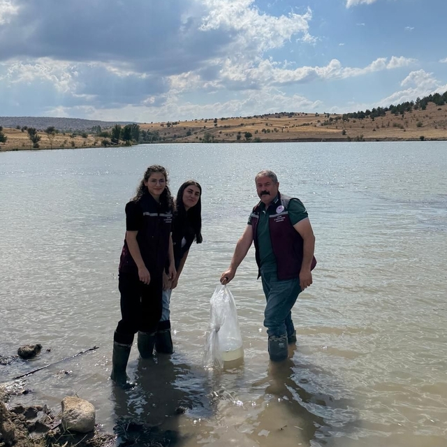 Bozoğlu Göleti ve Akhasan Barajı'na 320 bin sazan yavrusu bırakıldı
