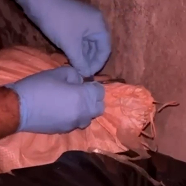 Ahırdaki arı kovanlarının arkasına gizlenmiş uyuşturucu ele geçirildi