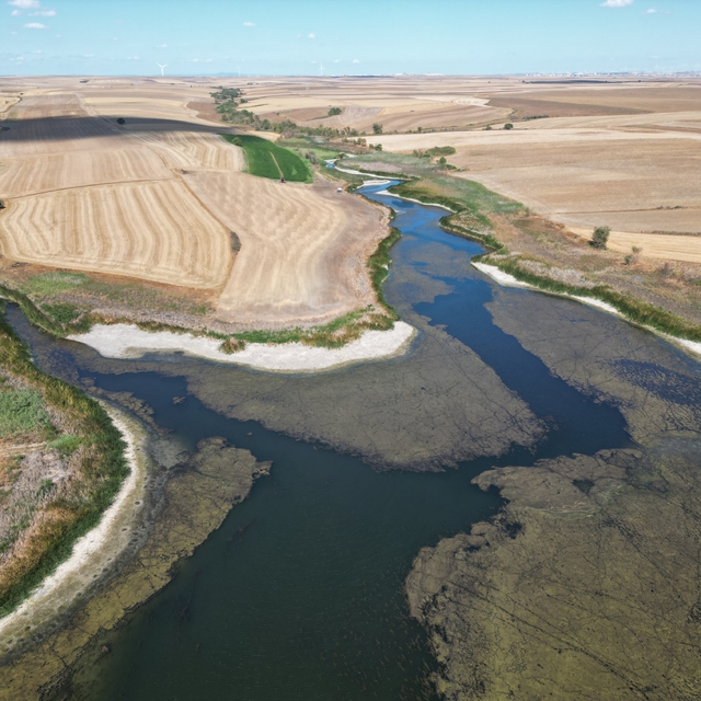 Tekirdağ'da Sarılar Göleti'nin su seviyesi kuraklık nedeniyle azaldı
