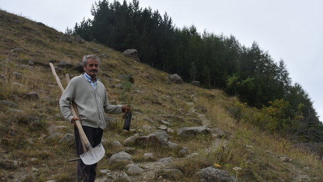 Gümüşhane'deki köyünü 40 yılda 50 bini aşkın fidanla buluşturdu