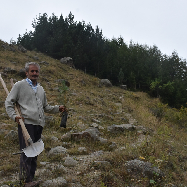 Gümüşhane'deki köyünü 40 yılda 50 bini aşkın fidanla buluşturdu