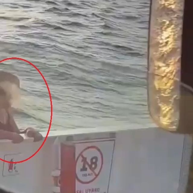 Kadın yolcunun feribottan atladığı anlar kamerada