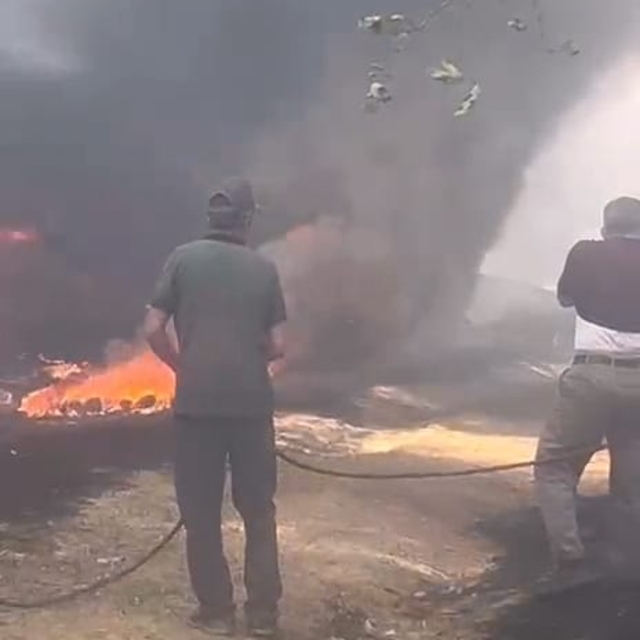 Bursa'da ot yangınında 20 dönüm alan zarar gördü