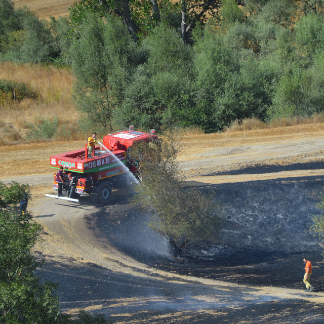 Samsun'da anız yangınlarında yaklaşık 620 dekar tarım arazisi zarar gördü