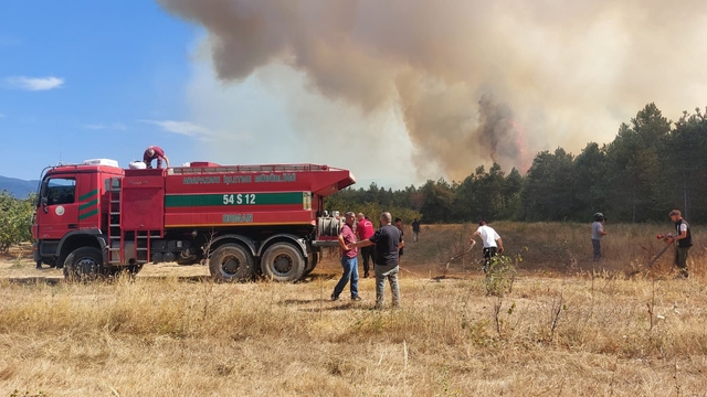 Sakarya'da ormanlık alanda çıkan yangın kontrol altına alındı
