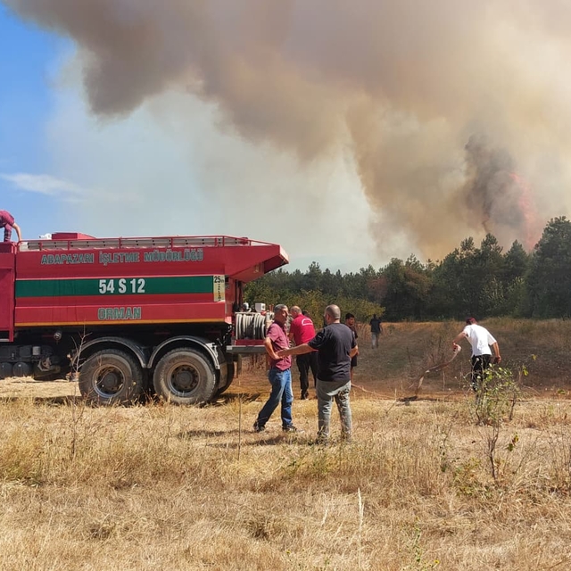 Sakarya'da ormanlık alanda çıkan yangın kontrol altına alındı