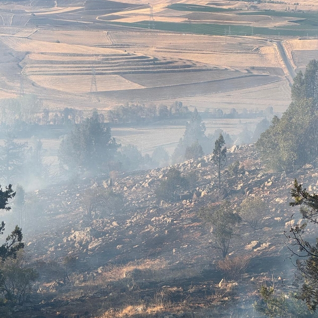 Adana'da çıkan orman yangını kontrol altına alındı