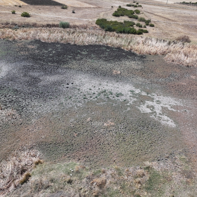 Edirne'deki Yağcılı Göleti kuraklık nedeniyle kurudu
