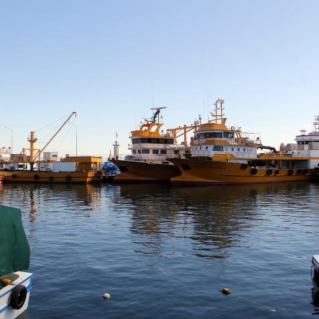 Sinop'ta denetlenen balıkçı tekneleri sezona hazır