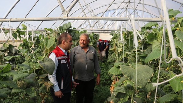 Edirne'de seraların üretim kapasitesi artırılıyor