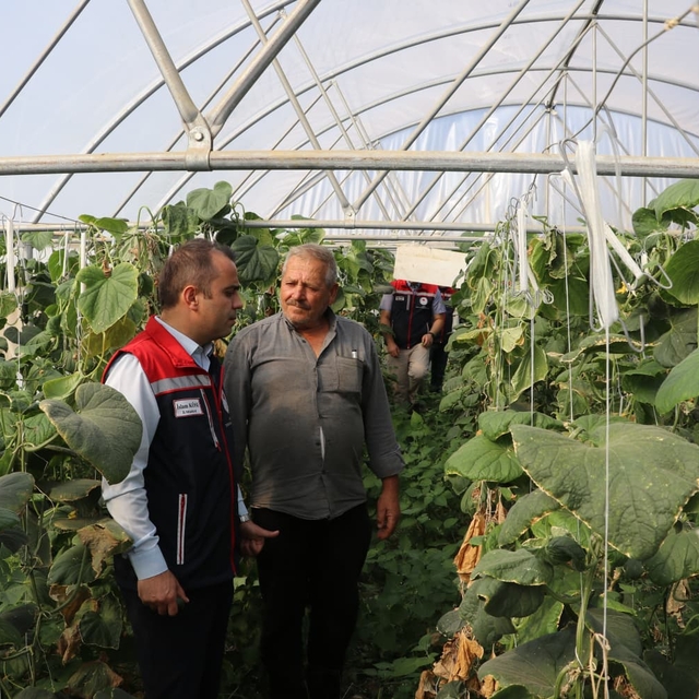 Edirne'de seraların üretim kapasitesi artırılıyor