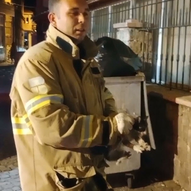 Otomobilin motoruna sıkışan yavru kediyi itfaiye ekipleri kurtardı