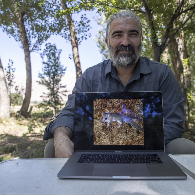 Munzur Dağları'nda yeni yediuyur türü tespit edildi
