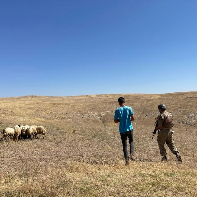 Van'da kırsalda kaybolan koyunları jandarma ekipleri dronla buldu