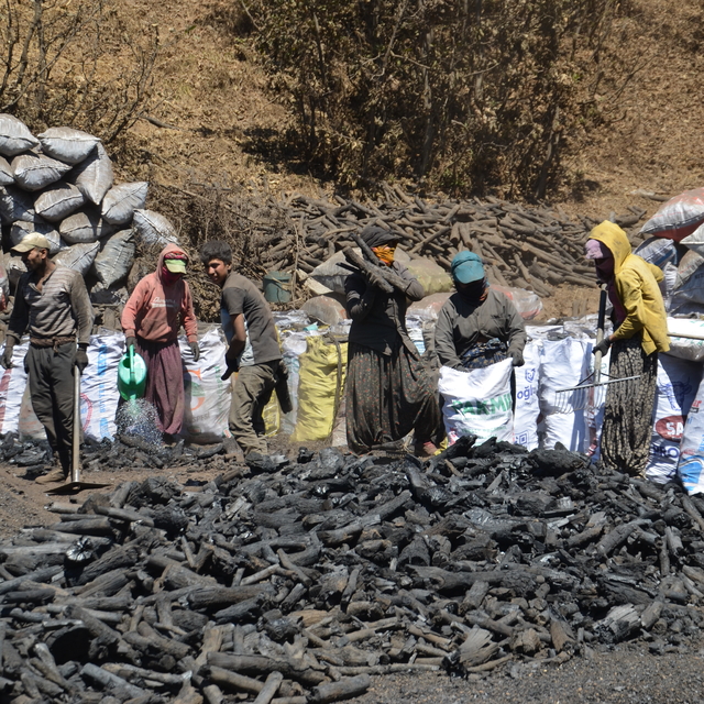 Mangal kömürü üreticileri hem havanın hem de ateşin sıcaklığıyla mücadele e...