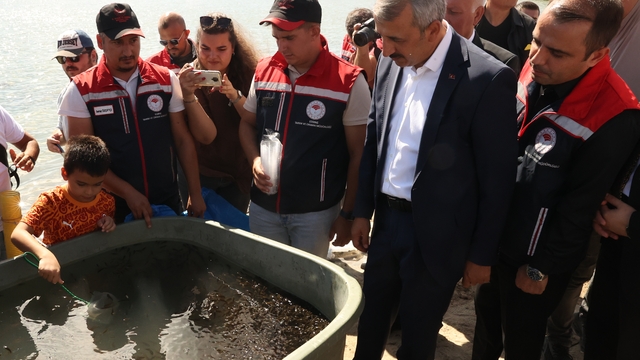Edirne'de Osmanlı köyündeki gölete 30 bin pullu sazan yavrusu bırakıldı