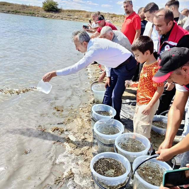 Edirne'de 30 bin yavru sazan gölete bırakıldı