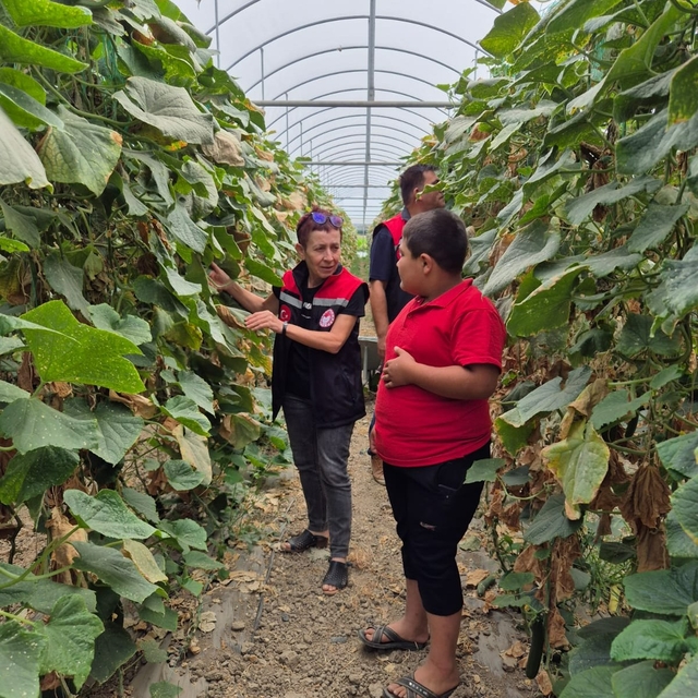 Amasya'da seralarda denetim yapıldı