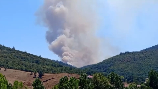 Bursa'da orman yangını