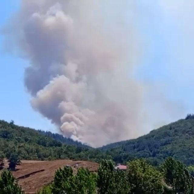 Bursa'da orman yangını