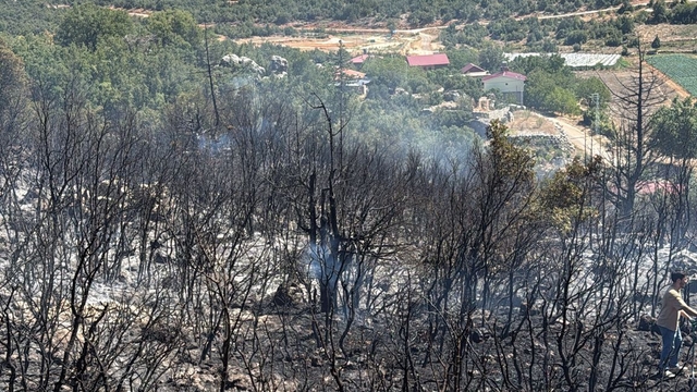 Mersin'de ağaçlık alanda çıkan yangın kontrol altında