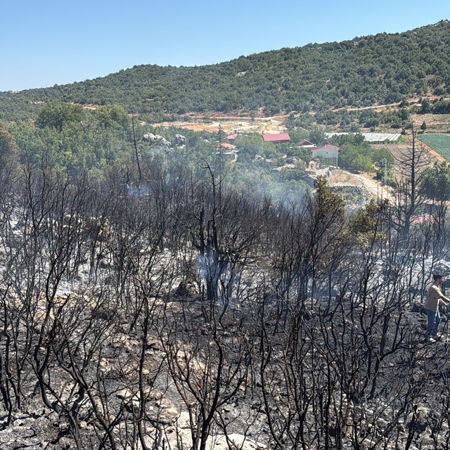 Mersin'de ağaçlık alanda çıkan yangın kontrol altında
