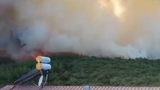Bursa'da orman yangını (2)