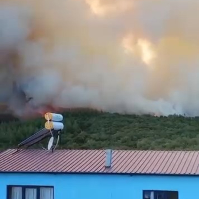 Bursa'da orman yangını (2)