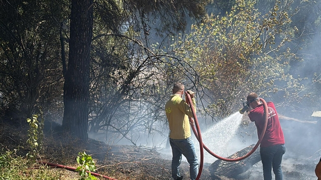 Erdek'te orman yangını 2 saatte kontrol altına alındı