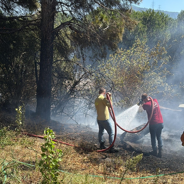 Erdek'te orman yangını 2 saatte kontrol altına alındı