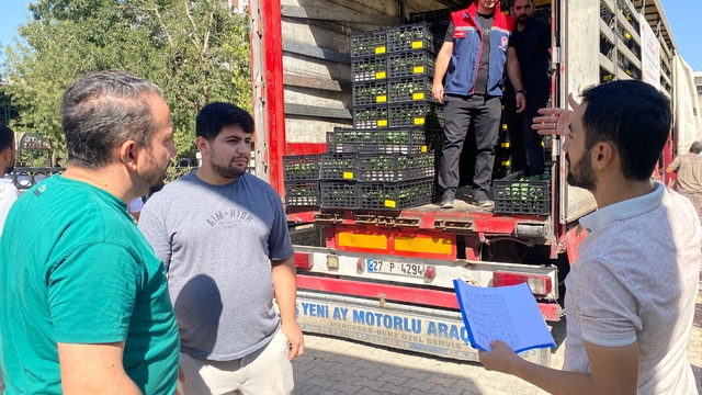 Siirt'te marul ve karnabahar fidesi dağıtıldı