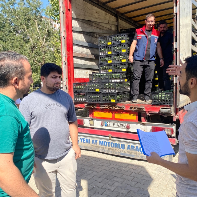 Siirt'te marul ve karnabahar fidesi dağıtıldı