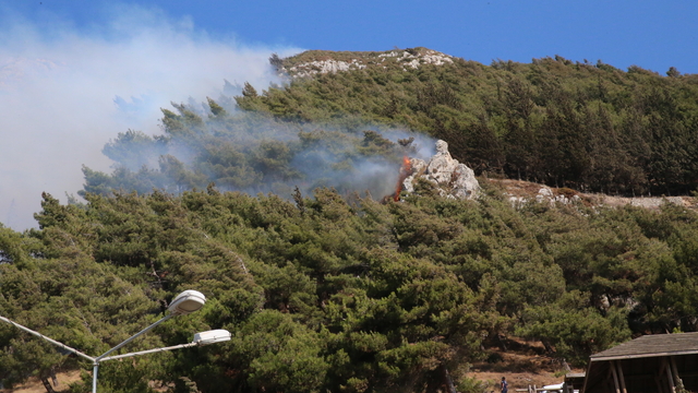 Hatay Antakya'da orman yangını çıktı
