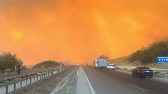 Bursa'da orman yangını (3)