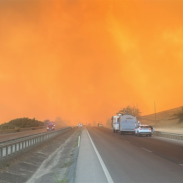 Bursa'da orman yangını (3)