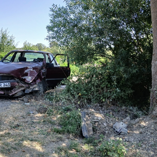 Amasya'da ağaca çarpan otomobildeki 2 kişi yaralandı