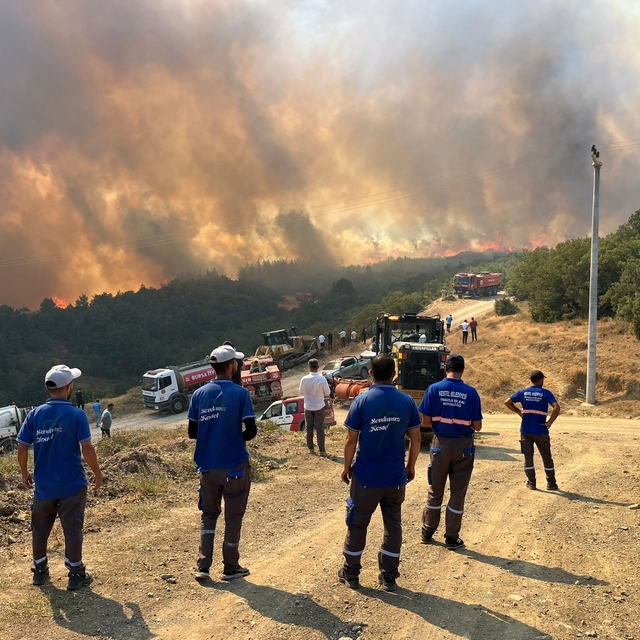 Bursa'da orman yangını (4)