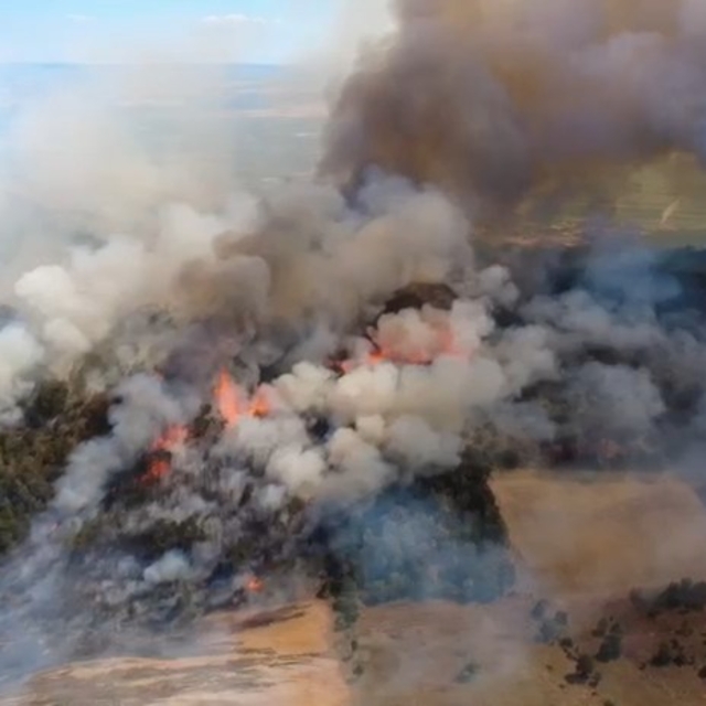 Bursa'da orman yangını (5)