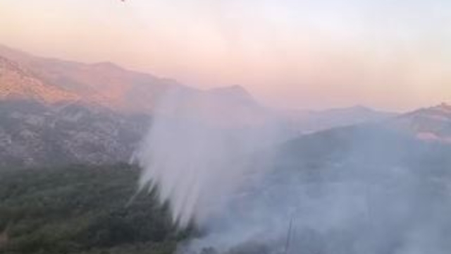 Diyarbakır- Bingöl sınırında orman yangını