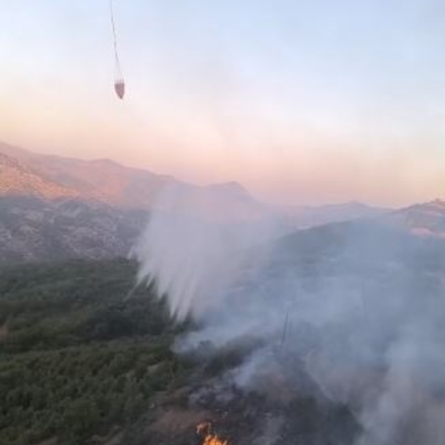 Diyarbakır- Bingöl sınırında orman yangını