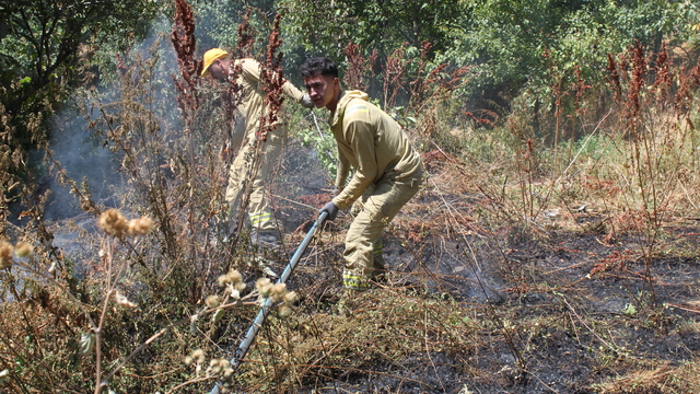 Bitlis'te ağaçlık alanda çıkan yangın söndürüldü