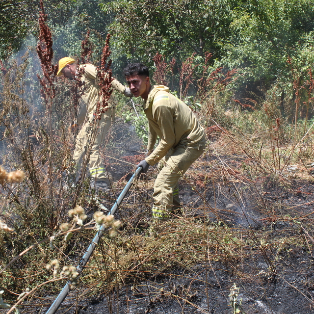 Bitlis'te ağaçlık alanda çıkan yangın söndürüldü