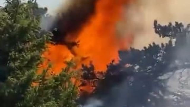 Amasya'da orman yangını