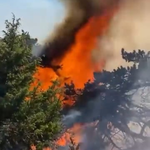 Amasya'da orman yangını