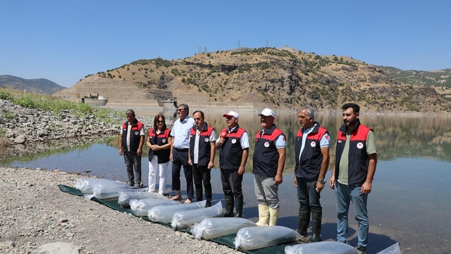 Elazığ'da üretilen 17 milyon yavru sazan iç sularla buluşturulacak