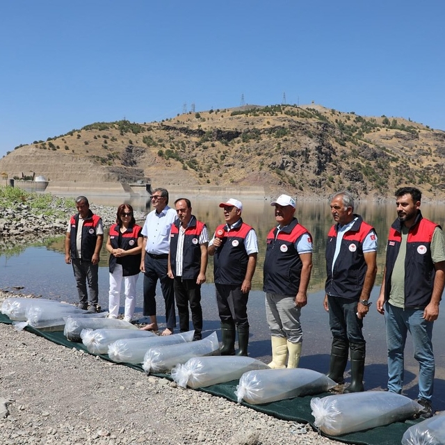 Elazığ'da üretilen 17 milyon yavru sazan iç sularla buluşturulacak