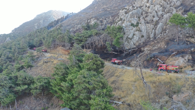 Hatay'da çıkan orman yangını kontrol altına alındı