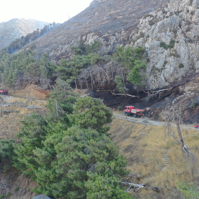 Hatay'da çıkan orman yangını kontrol altına alındı