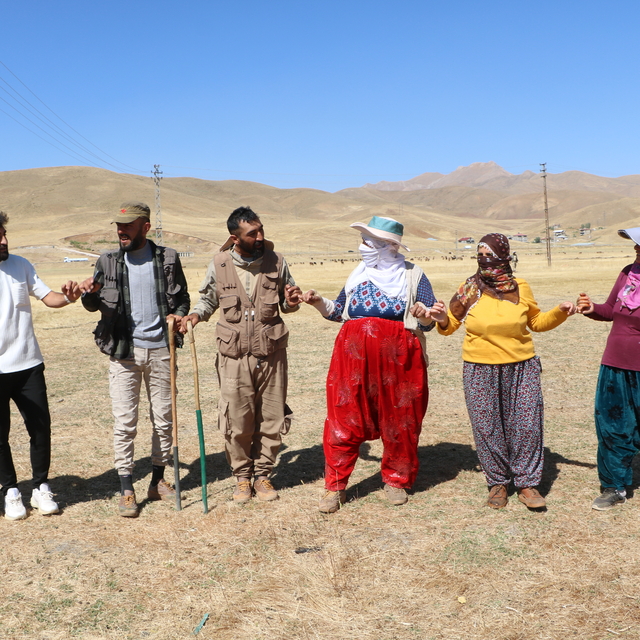 Yüksekova'da 'berivanların' yayla halayı