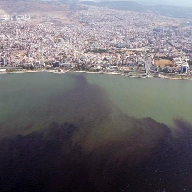 Prof. Dr. Özkan: Körfez 1-2 yılda düzelir demekle kendimizi kandırmış oluru...